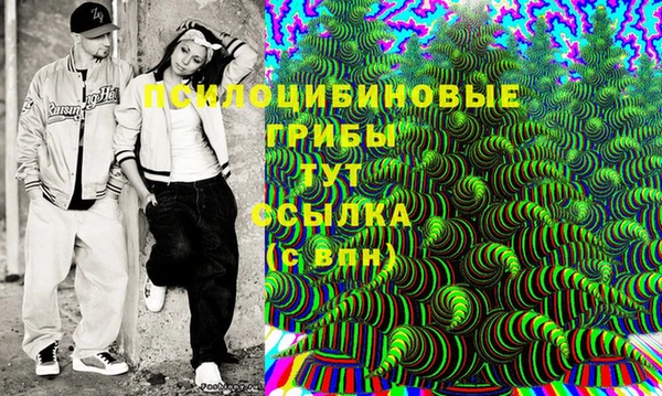 мяу мяу мука Аркадак